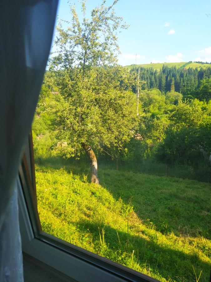 Starovitska Hata - Ethno-Cottage Верховина Экстерьер фото