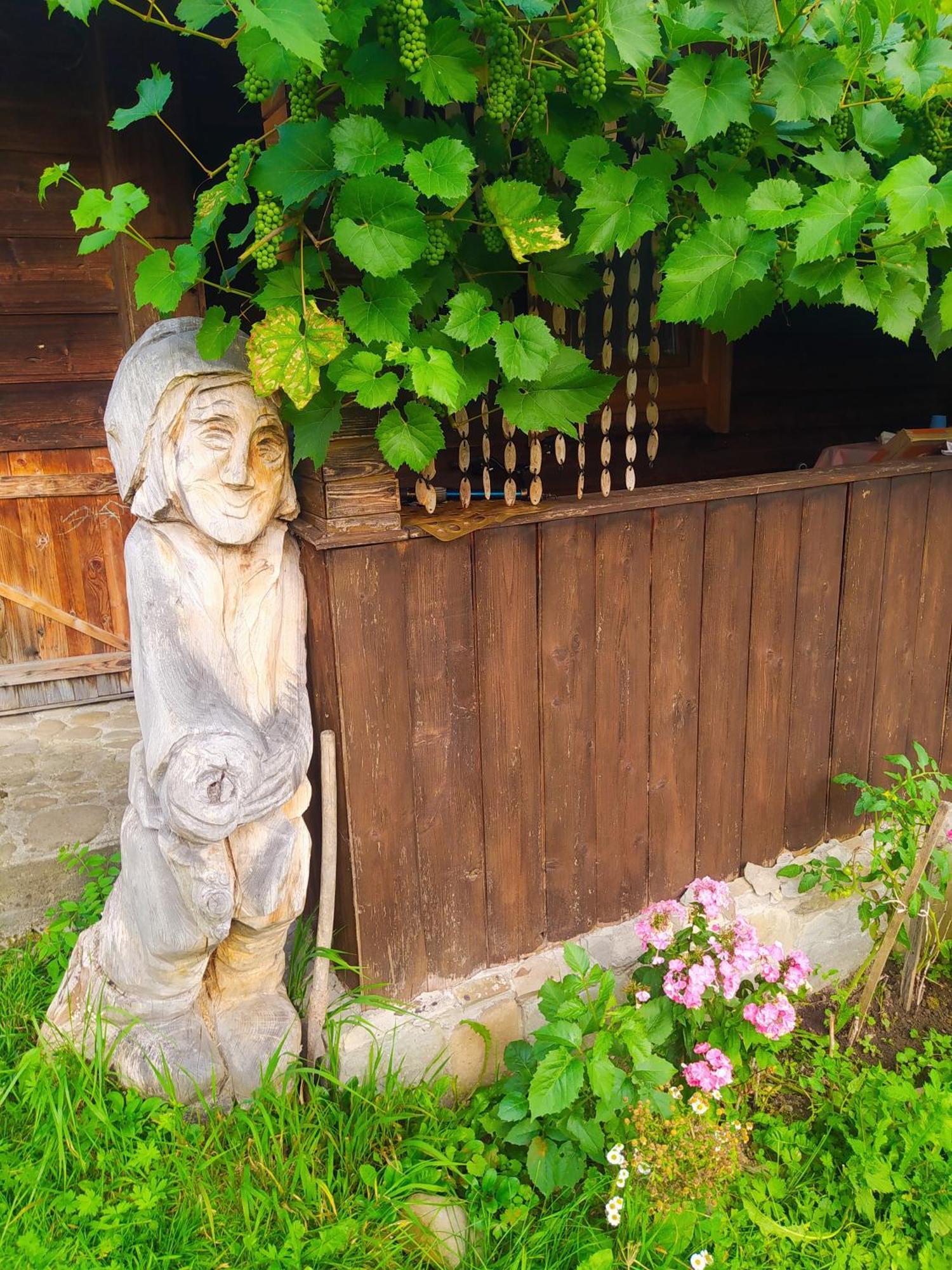 Starovitska Hata - Ethno-Cottage Верховина Экстерьер фото