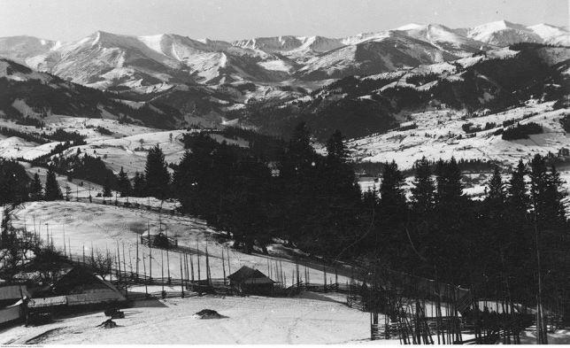 Starovitska Hata - Ethno-Cottage Верховина Экстерьер фото
